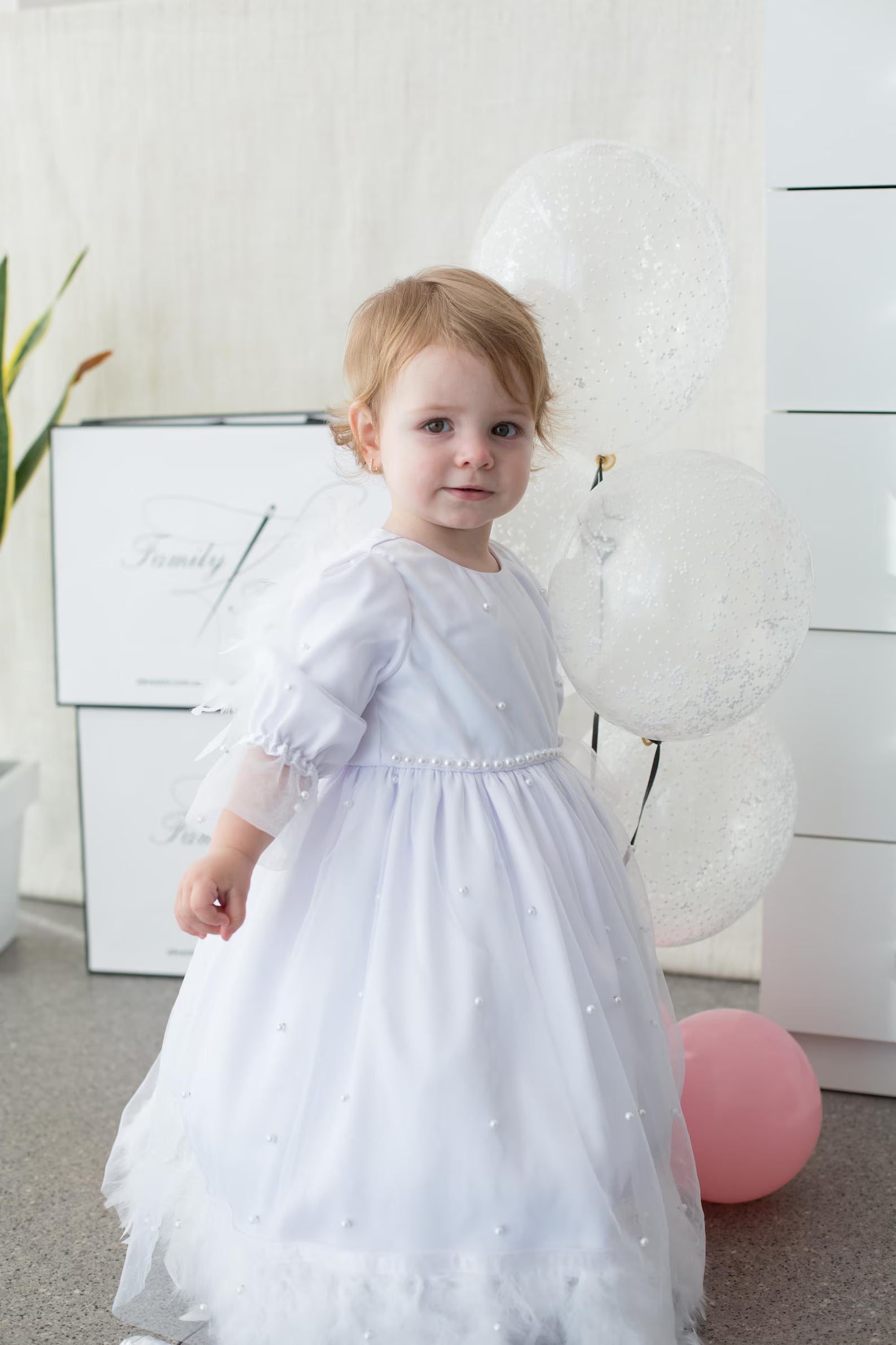 Baby Girl Christening Dress and Baptism Gown with Pearls and Feathers